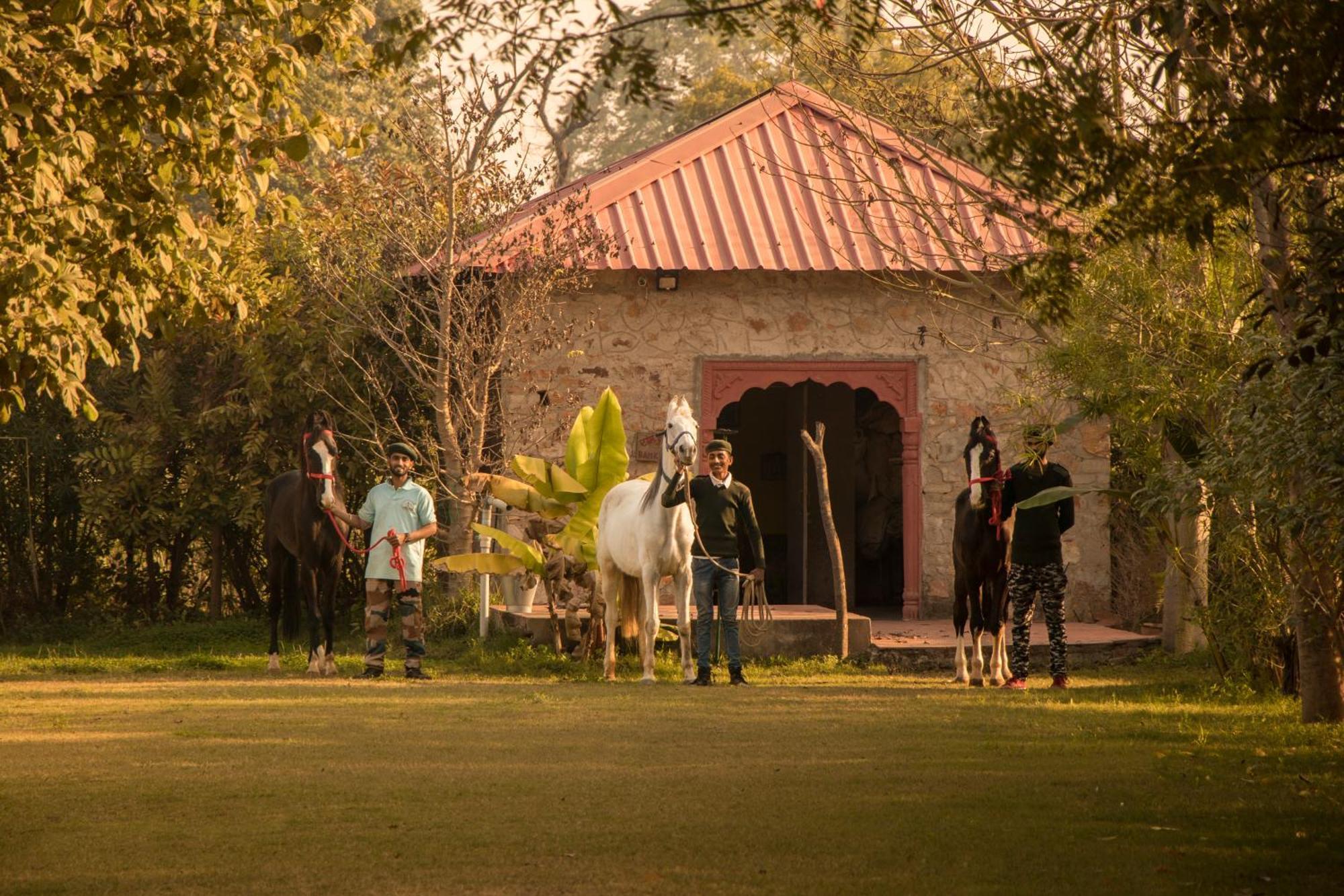 Maa Ashapura Resort Sawai Madhopur Exterior foto